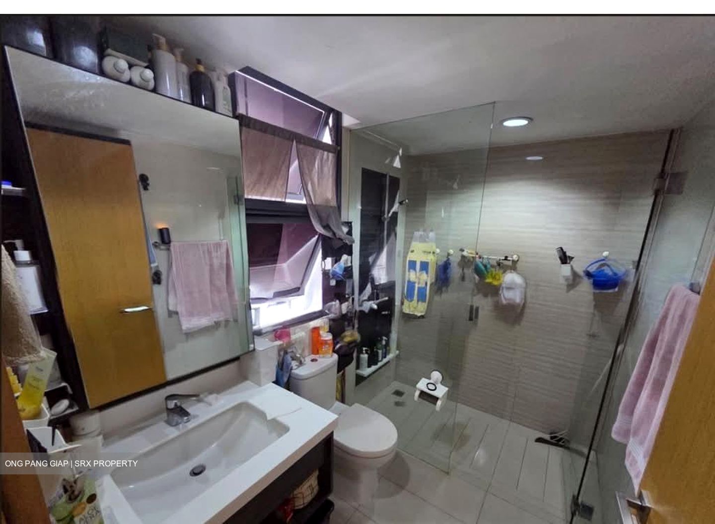 Blossom Residences (D23), Condominium #556850861